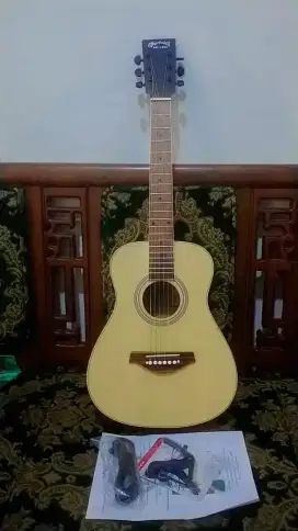 gitar martin elektrik