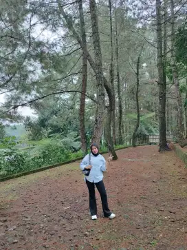Sedang mencari pekerjaan sebagai Admin, Finance atau Accounting