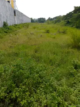 Tanah 0 jalan Propinsi Surabaya Madiun, cocok utk gudang atau pabrik