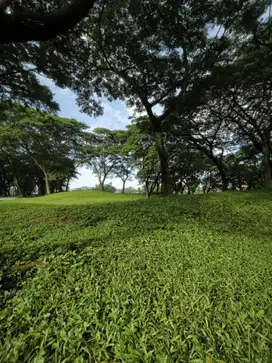 Bukit Golf Citraland, Golf View
