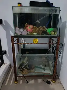 Akuarium/Aquarium