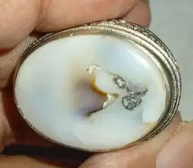 BATU AKIK NATURAL MOTIF BURUNG NANGKRING