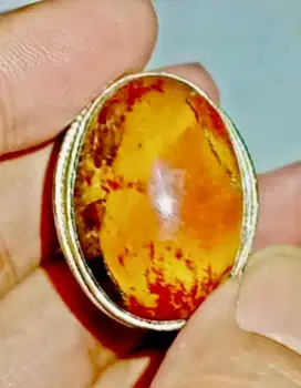 BATU AKIK NATURAL FOSIL KELOR PANCA WARNA SERAT MERAH