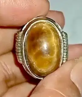 BATU AKIK NATURAL FOKAY (FOSIL KAYU) PUSER