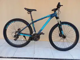Sepeda Polygon Cascade 4