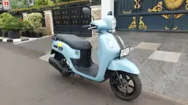 FAZZIO NEO 2024 GRESS