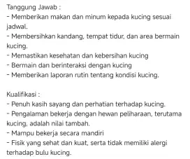Groomer/Cat boys Kucing