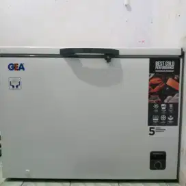 Frezeer second merk GEA like New.