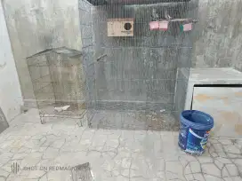 Kandang Burung Falk Sepasang