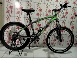 Sepeda MTB,Mulus,Normal,21 Speed,Ban Baru,Siap gowes,Bonus Acc,Curug.
