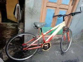 Sepeda wimcycle