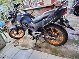 Tiger 2003 lengkap hidup