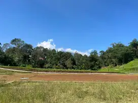 Tanah dijual cepat luas 250m2 di puncak