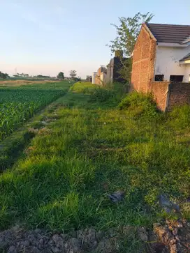 Dijual Tanah Mojokerto Dusun damarsi