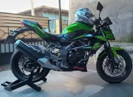 Z 250 SL. Kawasaki. Motor hobby