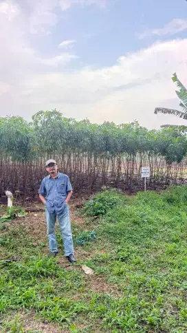 Dijual cepat tanah kavling