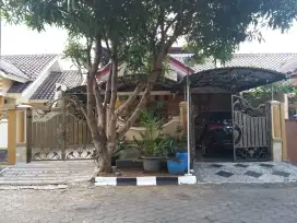 Disewakan Rumah Asri di Perumahan Klipang Green
