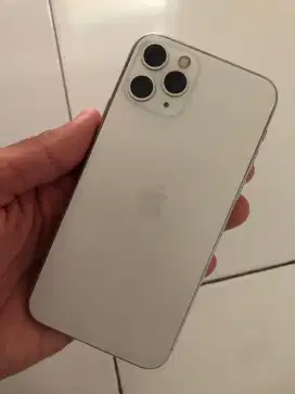 iPhone 11 Pro 256 GB WiFi Only