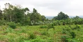 Tanah Murah Dekat Pelaga Farm, Pelaga Badung