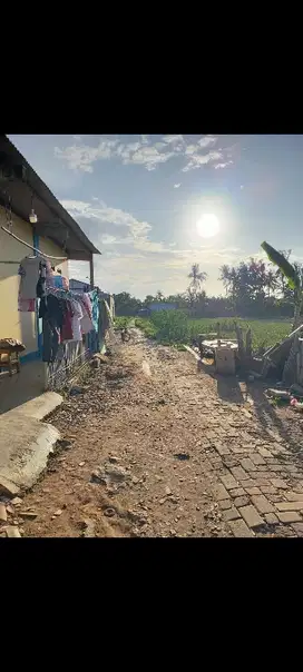 di jual tanah di sepatan timur tanah merah 5200 mtr surat sertifikat