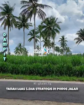 Tanah strategis luas 5,8 ha di poros jalan utama Dampit, Malang