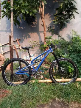 Polygon Siskiu D8