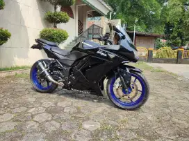 KAWASAKI NINJA 250 KARBU 2009