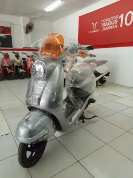 Sepeda listrik T65l