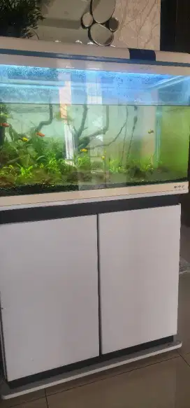 Aquarium ikan hias