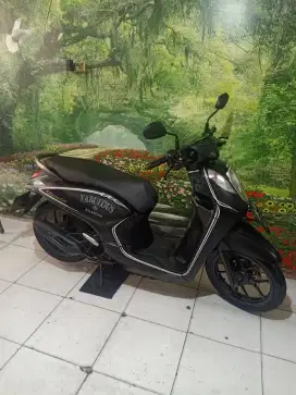 Honda Genio th 2020 original istimewa gress