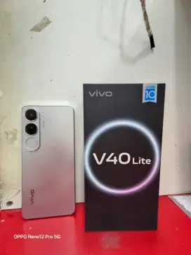 Vivo V40 Lite 4G 8/256