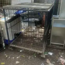 Kandang besar bisa untuk dogy dan lainy..