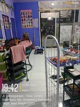 Salon kecantikan mega beauty salon