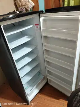 Freezer display pajangan