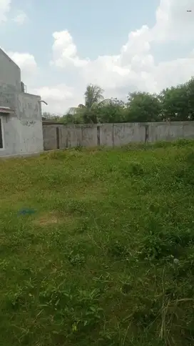 Tanah jl Rambutan 4 Arifin Ahmad kota Pekanbaru