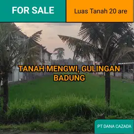 TANAH UTA.A MENGWI BADUNG 20 ARE