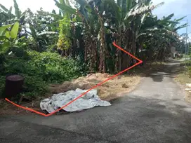 Dijual Tanah Pekarangan di Trimulyo Sleman