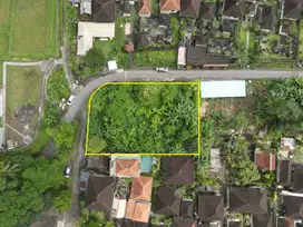 Land For Sale Located in Kelusa, 20 minutes drive to Ubud Palace