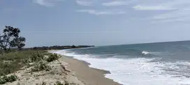 Dijual Murah Tanah Los Pantai