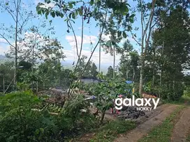 TANAH KEBUN + JOGLO DI JATILUWIH TABANAN, BALI