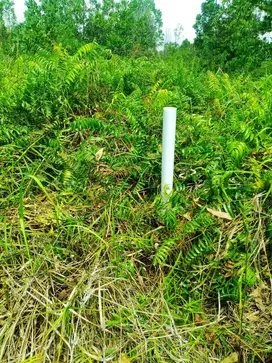 Tanah murah 8hektar jl Riau Baru