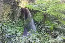 Dijual tanah dengan waterpool dan sungai view sawah terasering bali