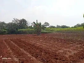 Dijual Tanah di Tajurhalang, Bogor Cocok Utk Perumahan, Gudang, dll