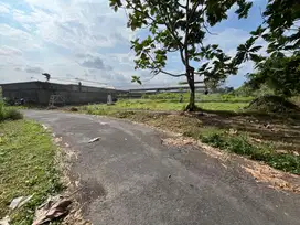 Tanah Ngaglik di Jl Kaliurang Km 10, SHM Jogja Tepi Aspal