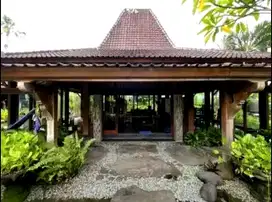 Tanah MURAH Bonus Joglo Umalas Kerobokan