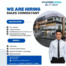 Sales Consultant Hyundai