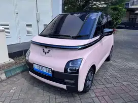 Wuling airev long range  300