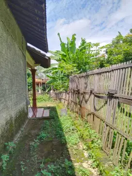 Tanah Tegal pekarangan
