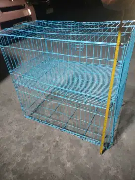 Kandang kucing masih ok