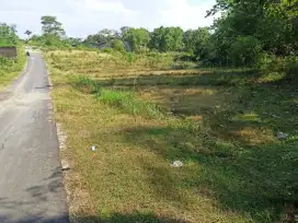 Tanah strategis dekat jalan utama mojosongo luas 3000m lebar 100m